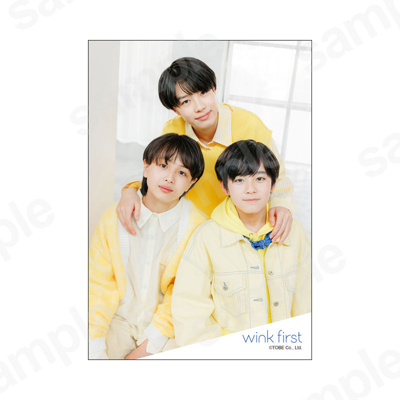 Artist original photo (2025 Spring)4/wink first