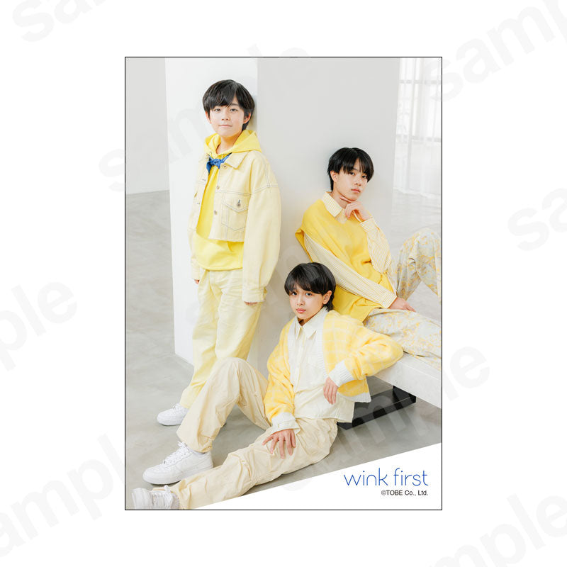 Artist original photo (2025 Spring)5/wink first