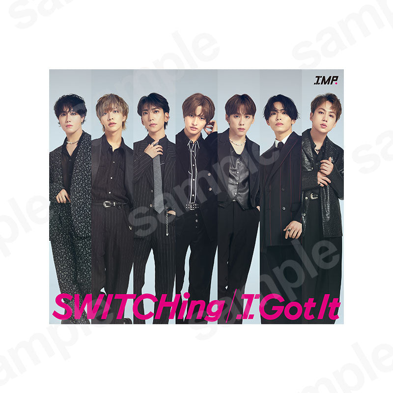 "SWITCHing/I Got It" First Press Limited Edition B