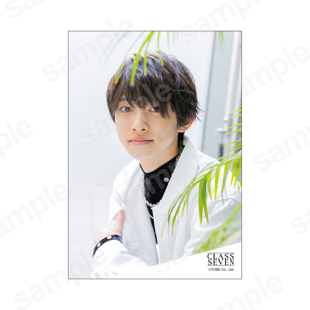 Artist original photo 4/Keito Hoshi
