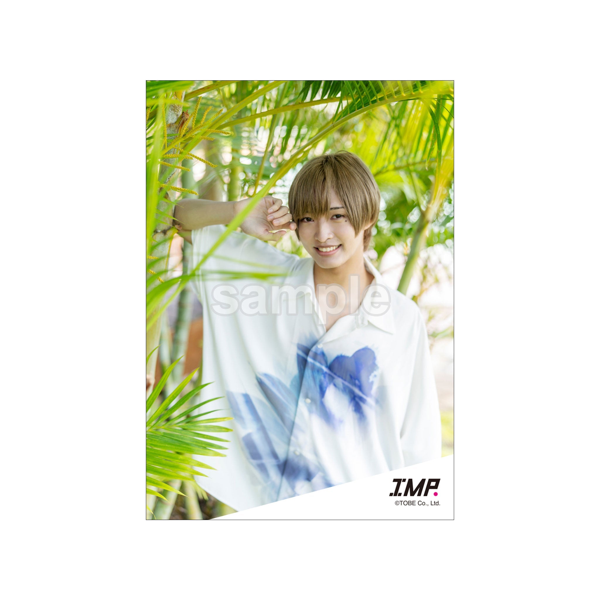 オリジナルフォトinHawaii2／IMP.佐藤新 | TOBE OFFICIAL STORE