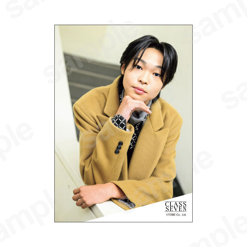 たいぷぅ様　2本セット 楽天市場】【正規品】HUGFUWA®抱き枕 【スパ・セラピストが大