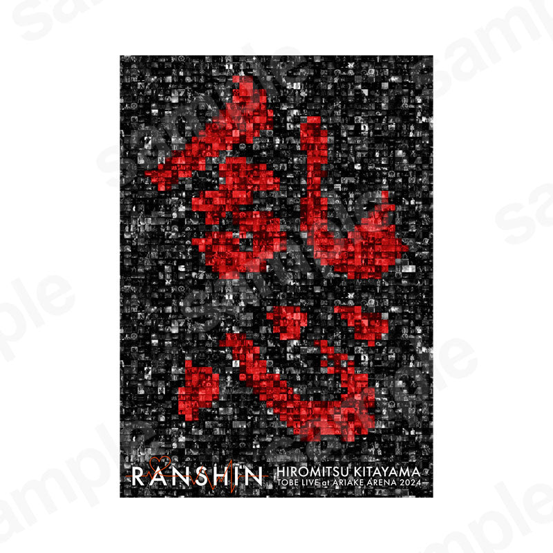 "TOBE LIVE at ARIAKE ARENA 2024 RANSHIN" Standard Edition