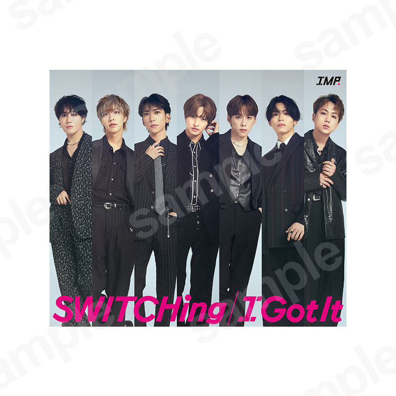 [Pre-order item] "SWITCHing／I Got It" First Press Limited Edition B